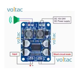 TPA3118 Mono Digital Audio Amplifier Module