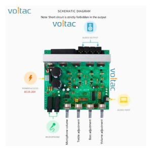 DX-2.1 Amplifier Board  2 Channel