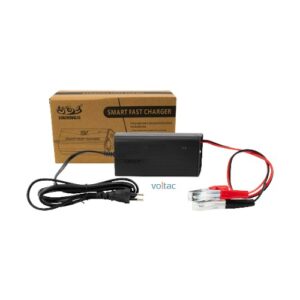 Suoer 12V 5A Battery Charger